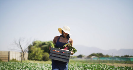 Walking, produce and woman with box outdoor for harvesting, sustainability or agro business. Seller,...
