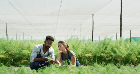 People, scientist and magnifying glass with plant in greenhouse for research with botanical study....