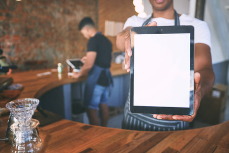 Hospitality, blank or hands in cafe with tablet screen, website check or inventory management in bistro. Mockup space, person or barista with tech, online order or menu update on restaurant app.