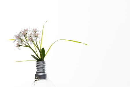 conceptual macro photo for alternative energy with a light bulb and flowers growing from it. White...