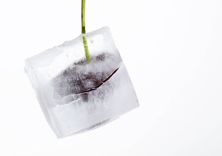 ice cube with a cherry inside on white background, with free space for textの写真素材