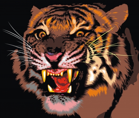 tiger of the jungle on the black backgroundのイラスト素材