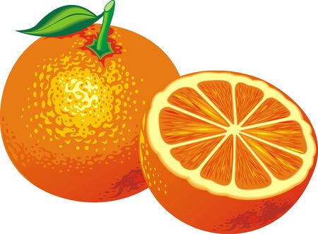 fresh orange isolated on the white backgroundのイラスト素材