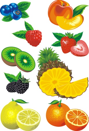 different fruits isolated on the white background のイラスト素材