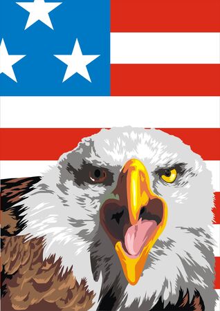 eagle and flag as symbols of the USAのイラスト素材