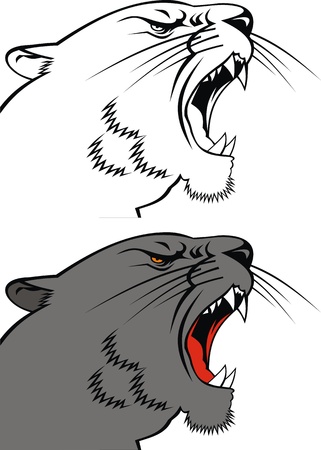 head of puma on the white background のイラスト素材