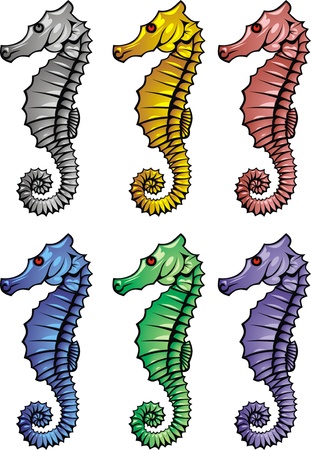 nise seahorse in the 6 different colors のイラスト素材