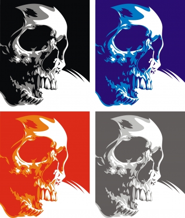 human skullのイラスト素材