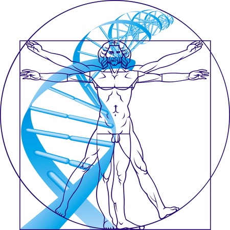 Leonardo da Vinci man and DNA on the white backgroundのイラスト素材