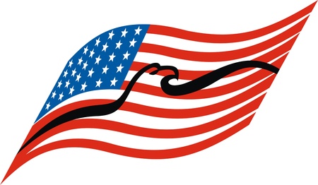 nice usa flag isolated on white background のイラスト素材