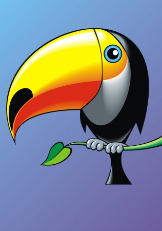 illustrated nice toucan on the blue backgroundのイラスト素材