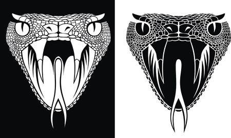 nice snake head in two versions as backgroundのイラスト素材