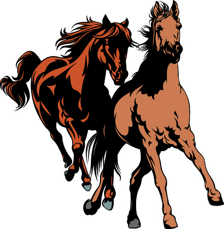 wild horses isolated on the white background のイラスト素材
