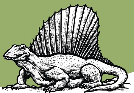 spinosaurus dinousaur isolated on the white backgroundのイラスト素材