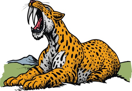 saber toothed tiger - prehistoric animal isolated on the white backgroundのイラスト素材