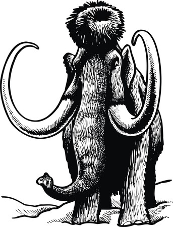 prehistoric mammoth isolated on the white backgroundのイラスト素材