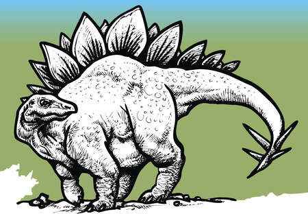 stegosaurus dinosaur isolated on the green backgroundのイラスト素材