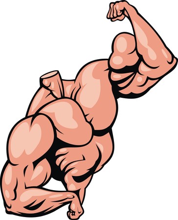 human muscle body isolated on the white backgroundのイラスト素材