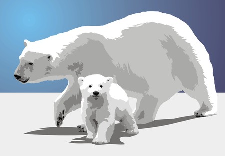 polar bear and his child in the fresh snowのイラスト素材