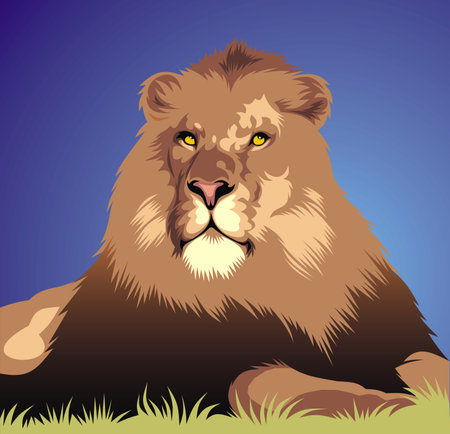 wild lion head as symbol of king animalのイラスト素材
