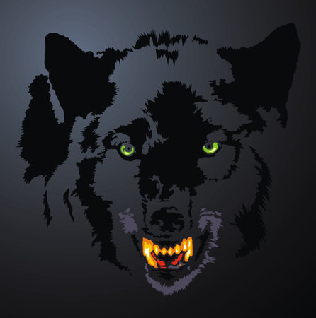 face of wolf head in the dark night