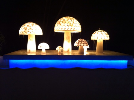 An incredible lighting mushroom shaped fountain の素材