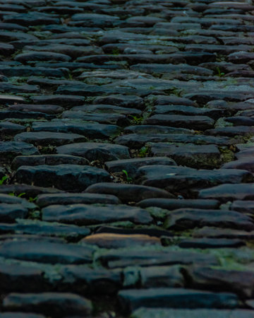 Slate roof for use as a backgroundの写真素材