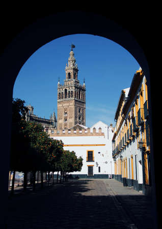 View of the Giralda from the Patio Flags, Sevillaの写真素材