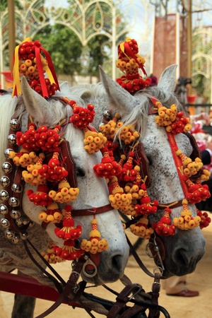 caparisoned mules at the fair in Jerezのeditorial素材