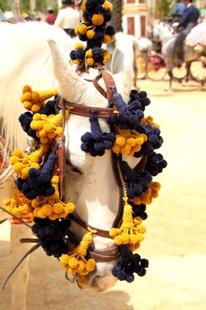 caparisoned mules at the fair in Jerezのeditorial素材