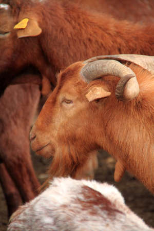 kidのeditorial素材