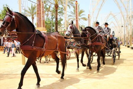 Hitch horses at the Fair of Jerezのeditorial素材
