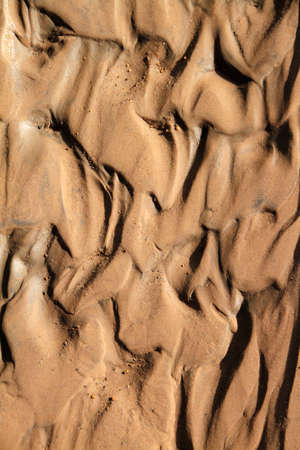 textured sandy beachの写真素材