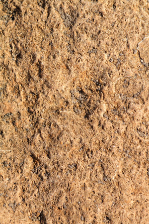 Texture of a rock
