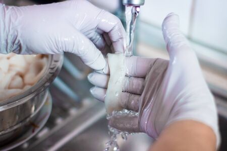 A person cleaning squid in the sink with water and gloves. This squid will be use for cooking. The squid rings will be in a metal container.の写真素材