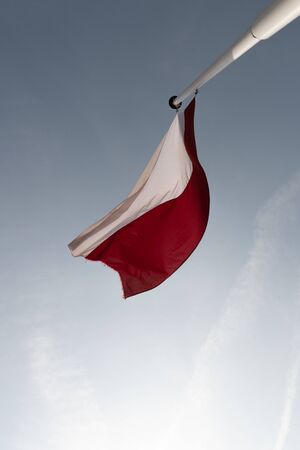 Polish flag on a white pole.の写真素材