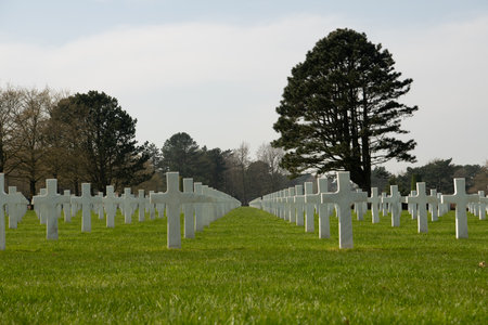 Crosses in American Cemetery.のeditorial素材