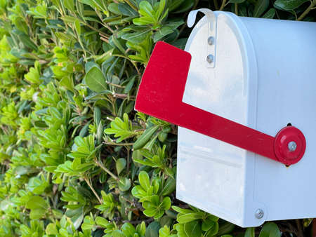 White, red us mail, mailbox withe the green bushes in the background.の写真素材