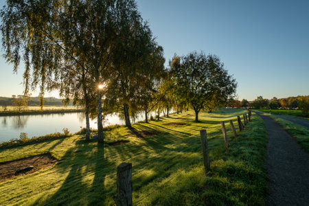 Landscape during sunrise, autumn, trees on the river.の写真素材