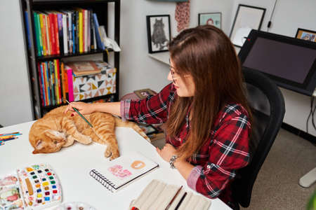Woman strokes her cat while teleworkingの写真素材
