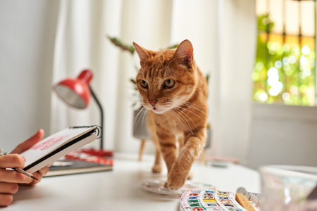 Cat walking on top of an illustrators desk