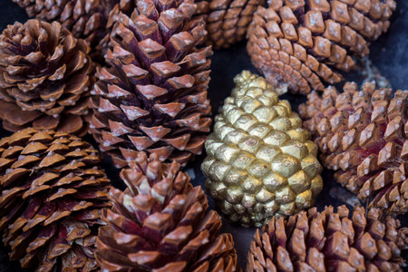The golden pinecone