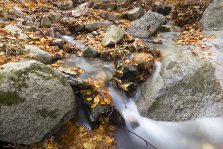 Stream of Santa Fe Valley in Montseny Natural Park, Catalonia  Spain の写真素材