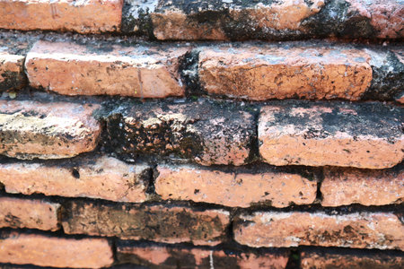 Brown brick wall