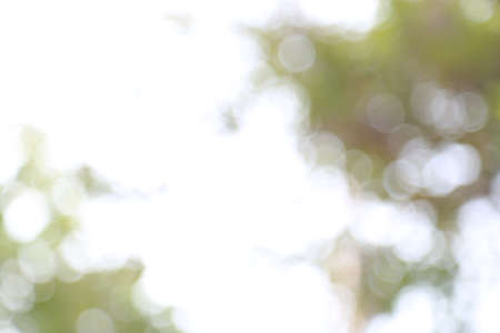 Blur bokeh abstract nature backgroundの写真素材