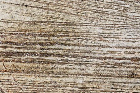 Concrete Wall for Textured Backgroundsの写真素材