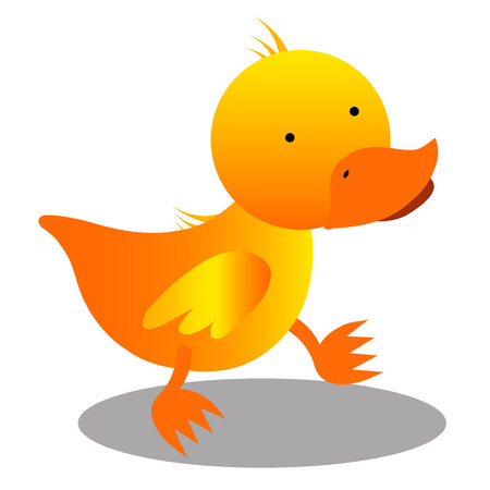 duck cartoonの写真素材