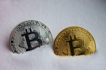Two bitcoins are golden second silver, buried in salt|mining|crypto