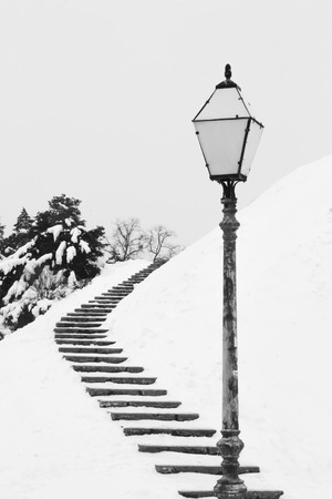 An artistic black and white picture with black stairs and a lamp on the white snow|trees|hillの写真素材