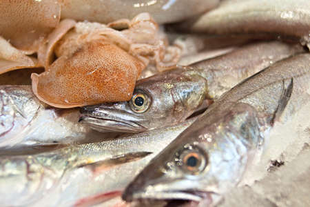 fish for sale at the fish marketの写真素材